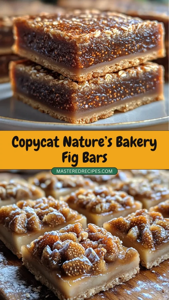 Copycat-Natures-Bakery-Fig-Bars